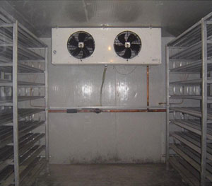 擱架式速凍冷庫